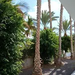 Palmas Apartament