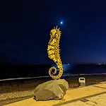 Palmas * 塔拉哈勒赫