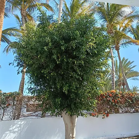 Palmas 公寓 塔拉哈勒赫