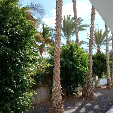 Palmas Lägenhet