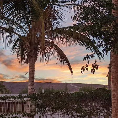 Palmas 塔拉哈勒赫