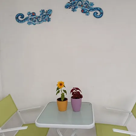 Palmas * Тарахалехо