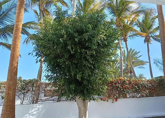 Palmas Appartement Tarajalejo