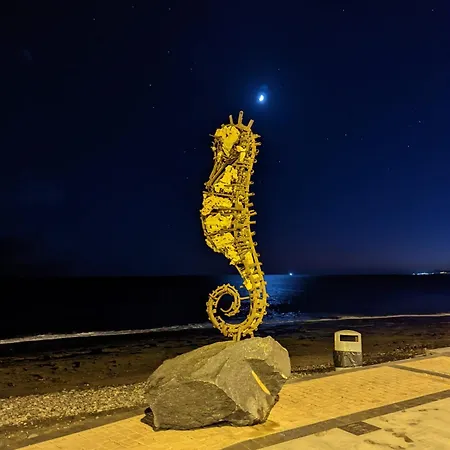 Palmas * 타라할레호